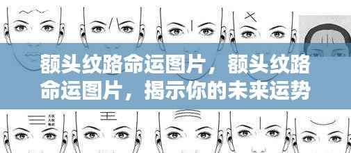 额头纹路命运图解,揭示未来运势走向的奥秘