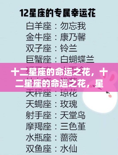 十二星座命运之花,星座与人生轨迹的契合奇迹