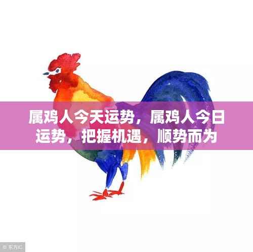 属鸡人今日运势,把握机遇,顺势而为的幸运指南