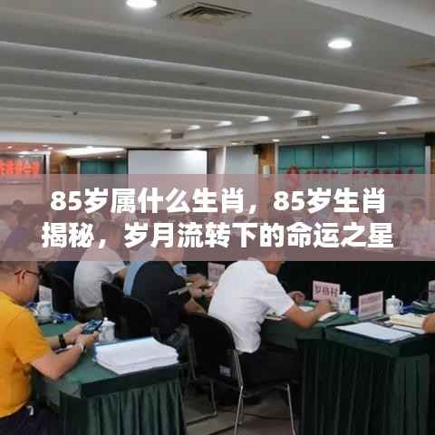 揭秘生肖奥秘,探寻85岁命运之星