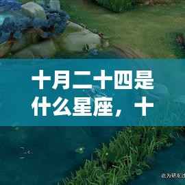 十月二十四日星座运势揭秘,探寻属于你的星辰轨迹