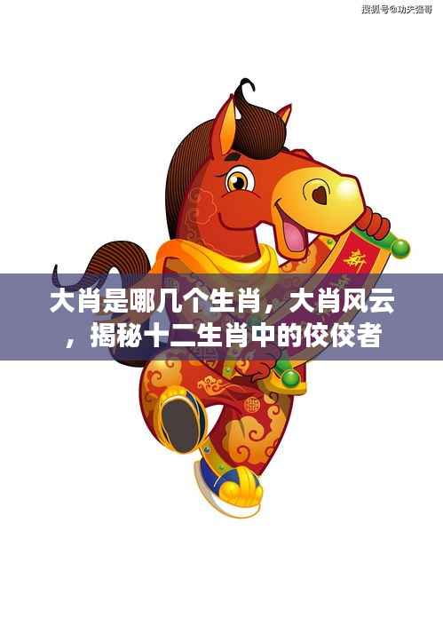 揭秘十二生肖中的风云佼佼者,大肖风云传