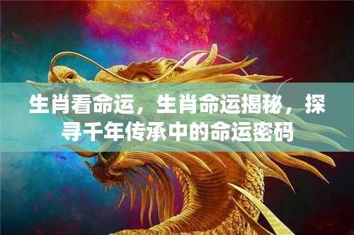 生肖命运揭秘,探寻千年传承中的命运密码,揭示生肖与命运的神秘联系