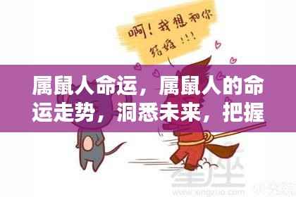 属鼠人的命运走势揭秘,洞悉未来,把握机遇时刻