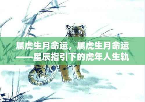 星辰指引下的属虎生月命运,揭示虎年人生的轨迹与命运密码