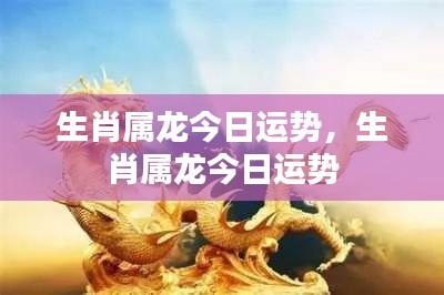生肖属龙今日运势详解