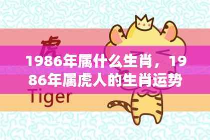 1986年属虎人的命运转折与生肖运势解析,洞悉机遇,把握人生关键之年