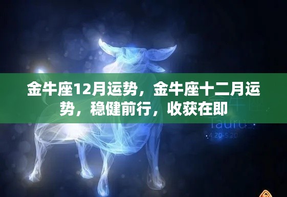 金牛座十二月运势展望,稳健前行,收获季节的幸运降临