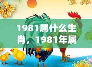 揭秘命运之轮,1981年属鸡人的生肖运势与机遇挑战洞察