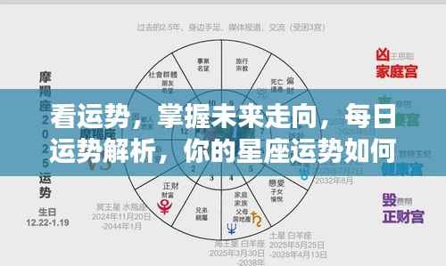 每日星座运势解析,掌握未来走向,详解你的星座运势!
