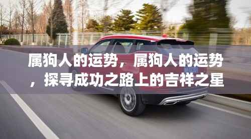 属狗人的吉祥运势与成功之路探寻