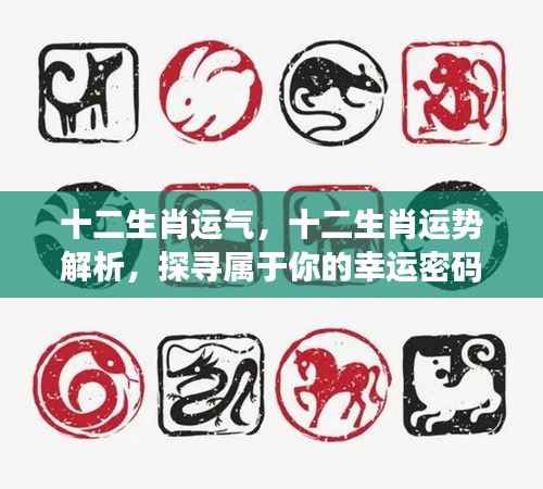 揭秘十二生肖运势密码,探寻属于你的幸运之道