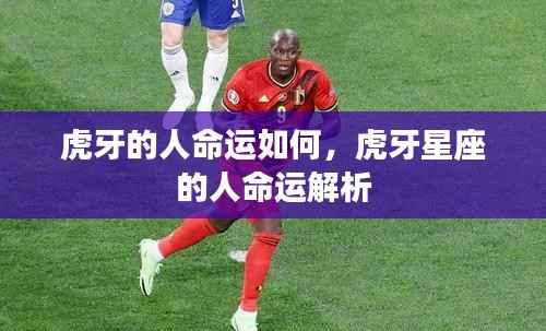 虎牙星座的人命运详解与解析