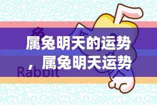 属兔明日运势大揭秘,明日运势展望