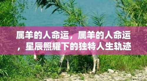 栖冲业简 第3页