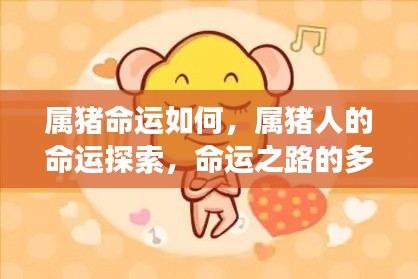 属猪人的命运探索,多元解读命运之路的奥秘