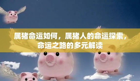 属猪人的命运探索,多元解读命运之路的奥秘
