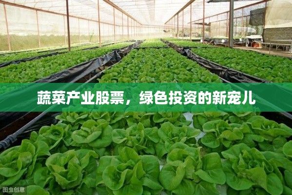 蔬菜产业股票,绿色投资的新宠儿