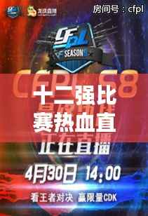 十二强比赛热血直播,激情荣耀的舞台展现