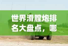 世界滑膛炮排名大盘点,哪些炮位列顶尖?