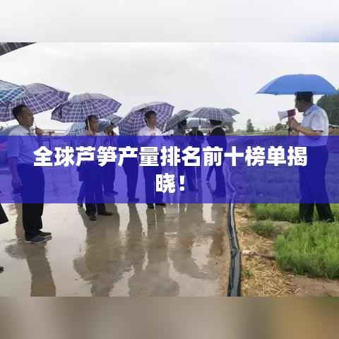 全球芦笋产量排名前十榜单揭晓!