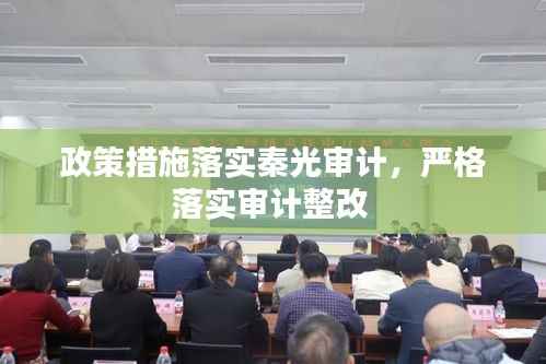 政策措施落实秦光审计,严格落实审计整改