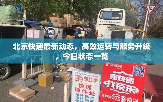 北京快递最新动态,高效运转与服务升级,今日状态一览