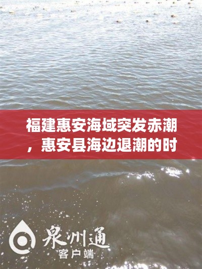 福建惠安海域突发赤潮,惠安县海边退潮的时间