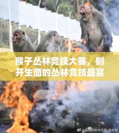 猴子丛林竞技大赛,别开生面的丛林竞技盛宴!