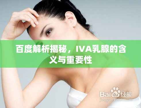 百度解析揭秘,IVA乳腺的含义与重要性