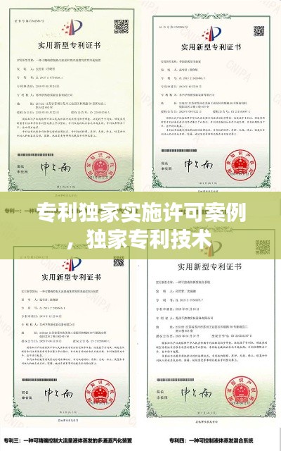 专利独家实施许可案例,独家专利技术