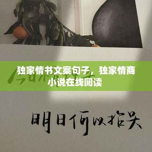 独家情书文案句子,独家情商小说在线阅读