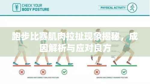 跑步比赛肌肉拉扯现象揭秘,成因解析与应对良方