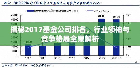 揭秘2017基金公司排名,行业领袖与竞争格局全景解析