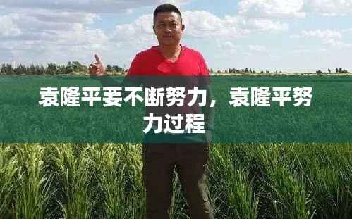 袁隆平要不断努力,袁隆平努力过程