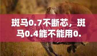 斑马0.7不断芯,斑马0.4能不能用0.5的芯