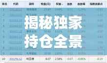 揭秘独家持仓全景,深度解析600816股票持仓布局