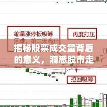 揭秘股票成交量背后的意义,洞悉股市走势的关键指标!