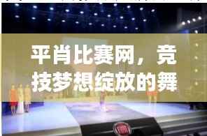 平肖比赛网,竞技梦想绽放的舞台