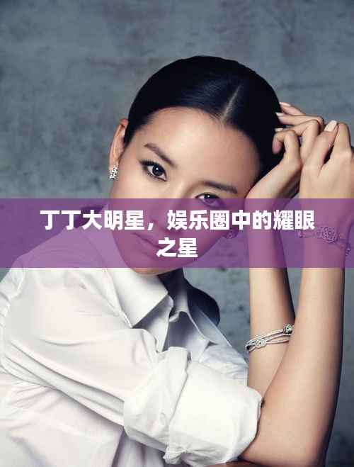 丁丁大明星,娱乐圈中的耀眼之星