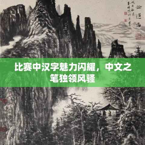 比赛中汉字魅力闪耀,中文之笔独领风骚