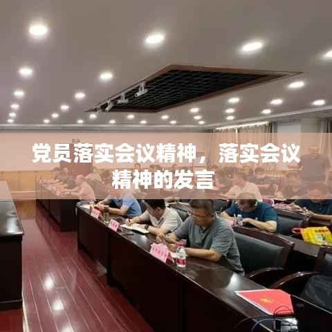 党员落实会议精神,落实会议精神的发言