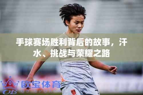 手球赛场胜利背后的故事,汗水、挑战与荣耀之路