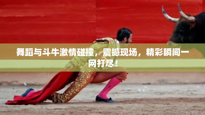 舞蹈与斗牛激情碰撞,震撼现场,精彩瞬间一网打尽!