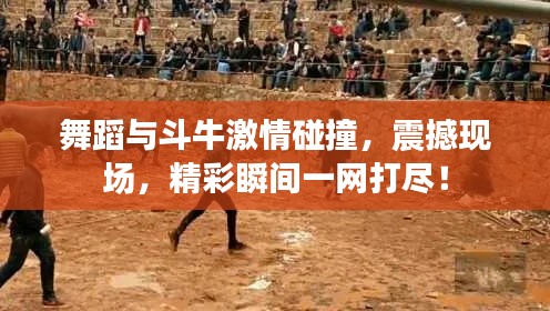 舞蹈与斗牛激情碰撞,震撼现场,精彩瞬间一网打尽!