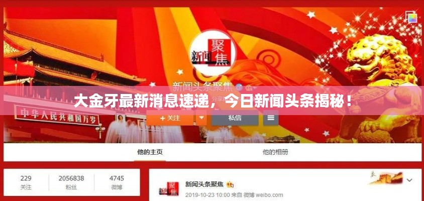大金牙最新消息速递,今日新闻头条揭秘!