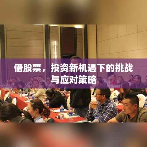 倍股票,投资新机遇下的挑战与应对策略