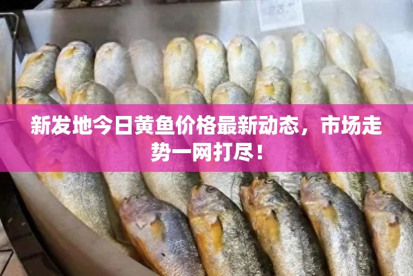 环肥燕瘦 第2页