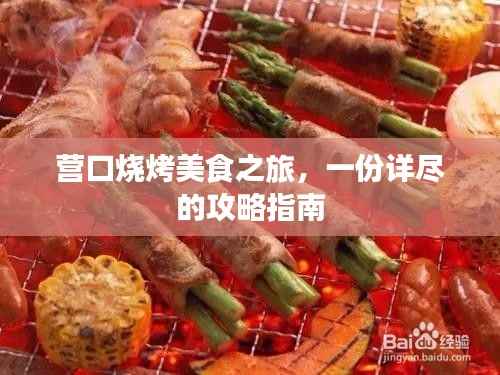 营口烧烤美食之旅,一份详尽的攻略指南