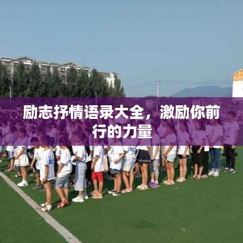 励志抒情语录大全,激励你前行的力量